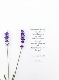 Pin By Retajalansari On Moon Quotes In 2021 Flower Quotes Flower Captions For Instagram Beautiful Flower Quotes