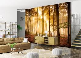 Fototapeten schlafzimmer und über 5000 weitere motive. Wandmotiv24 Fototapete Wald Am Morgen Fototapeten Schlafzimmer Wandbild Sonne Licht Strahl Entspannung M0391 Landschaft Fototapeten Gunstig Kaufen