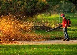 8905 logtown rd berlin, md 21811. Reynolds Lawn Services Llc Lawn Care Berlin Md