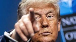 Milena Pagliarini, P. Eng, MBA