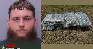 Senior member' of 'Sex, Money, Murder' gang arrested in St. Johns County  >>> bit.ly/3H5aNae