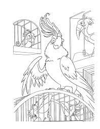 Rio the movie from the creators of ice age. Rio To Print For Free Rio Kids Coloring Pages