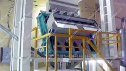 Color Sorting Machine for Grain Processing|Wheat Flour Grinding
