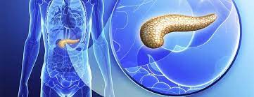 Researchers Keep Pancreatic Donor Cells Alive To Aid Future Diabetes  Treatments