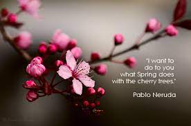 Pin On Fruit Quotes