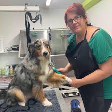 Claudias Hundesalon