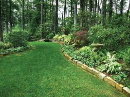 Home > backyard > backyard decor > 31 backyard landscaping ideas on a budget: Pin On Garden
