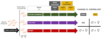 Join crash bandicoot and his sister coco on a mission to save the multiverse! Nutrients Free Full Text Changes In Fatty Acid Dietary Profile Affect The Brain Gut Axis Functions Of Healthy Young Adult Rats In A Sex Dependent Manner Html