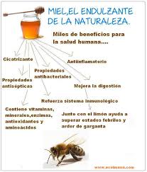 Beneficios Y Propiedades De La Miel Natural De Las Abejas Polen De Abeja Beneficios Miel Abejas