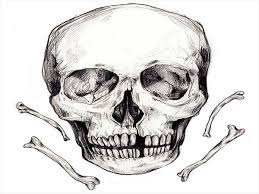 8 scary drawings art ideas free premium templates. Creepy Skull Sketch At Paintingvalley Com Explore Collection Of Creepy Skull Sketch
