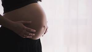 View latest posts and stories by @dedonderludivine ludivine dedonder in instagram. Chomage Temporaire Les Deputees Ludivine Dedonder Et Marie Colline Leroy Obtiennent La Preservation De L Integralite Du Conge Postnatal