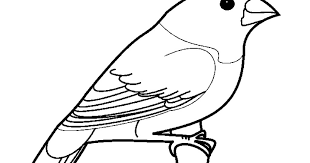 Pada dasarnya sketsa digunakan sebagai berikut ini penjelasan lengkap seputar gambar sketsa. Gambar Mewarnai Menarik Mewarnai Gambar Burung Nuri