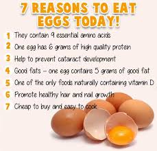 Please note that this diet is not healthy and is definitely not sustainable in the long term. Meal Expert Meal Plans On Twitter Why Eggs Egg Diet Nutrition Weightloss Transformation Dietplan Fitness Health Dietplans Foodgram Inspiration Abs Eatclean Dedication Dietfood Challenge 30daydiet Fitnessjurney Mealexpert