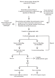 Introduction a robot should recognize an user s speech from a mixture of sounds with the least prior information, because the robot has to work in unknown and/or dynamical environments. Algorithm For Emergency Management Of Ica Injury During Ess Download Scientific Diagram