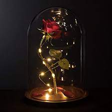 Ad by mignonandmignon ad from shop mignonandmignon. Amazon Com Magicprincesswhitney Made In Usa Enchanted Red Rose Life Sized 13 Led Beauty And The Beast Rose In Glass Dome Belle Wedding Valentine S Day Christmas Mother S Quinceanera Magic Princess Whitney Home