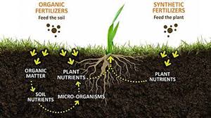 Buying organic isn't always worth it when it comes to these 15 fruits and veggies, so you can save yourself the worry and confusion—and some dough—next time you're in the produce aisle. Organic Matter In Soil Bulk And Granular Compost For Lawn And Garden