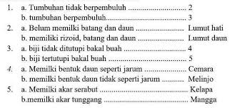 Artikel ini berisi pembahasan tentang kunci determinasi tumbuhan, kunci determinasi hewan, contoh kunci determinasi, cara menggunakan kunci determinasi atau kunci dikotom. Urutan Kunci Determinasi Untuk Tanaman Jagung Adalah