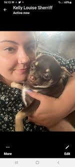 My name is: harvey • My nickname is: harvey moon • My age is: 8 months • My  favourite human food: what ever they are having. • My dog food is: