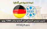 المنحة
