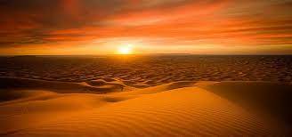 Free for commercial use no attribution required high quality images. Golden Desert Background Desert Background Sunset Background Images