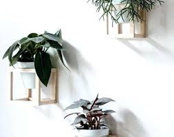 Plant Wall Mounted Planter Indoor Plant Pots Amazing Wall Mounted Planters Cube Wall Plan Wall Mounted Planters Indoor Wall Plants Indoor Wall Mounted Planters
