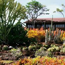 Classes with few entries may be combined. Cactus And Succulent Society Of America Home Facebook
