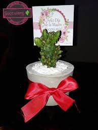 ¿quieren tener un detalle con cada uno de los invitados, sin que esto signifique un costo muy elevado? Que Significa Cuando Te Succulent Cactus Y Decoracion Facebook