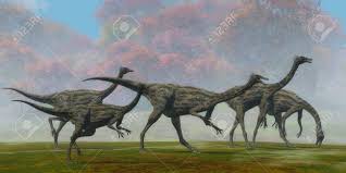 Image result for gallimimus