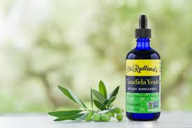 Image result for Buchnera candida