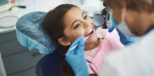 Camden County Spotlight Holistic Well-being Local Booksellers Stunning  Scenery & Historic Landmarks