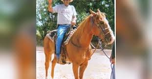 Rojelio "Roy" Olivares Correa Obituary