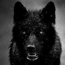 Check spelling or type a new query. Stream Jacek Bartkowiak 1 Music Listen To Songs Albums Playlists For Free On Soundcloud