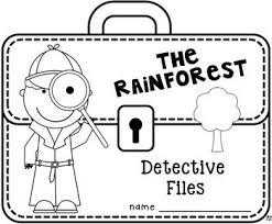 Rainforest Activities Rainforest Activities Rainforest Classroom Rainforest Habitat