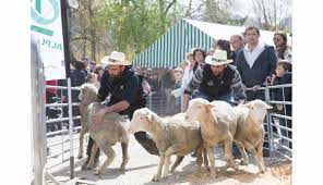 Maybe you would like to learn more about one of these? Embrun Apres Avoir Accueilli Une Grosse Affluence Hier La 4e Edition De L Evenement Haut Alpin Se Poursuit Aujourd Hui Un Salon De L Elevage Qui Tient Toutes Ses Promesses