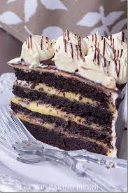 Birds Custard Powder Recipes Chocolate Marina S Bird S Milk Cake Chocolate Cake Recipe Yummy Cakes Cupcake Recipes