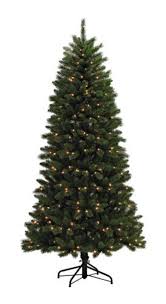 Check spelling or type a new query. Enchanted Forest 7 Prelit Slim Arizona Spruce Artificial Christmas Tree At Menards
