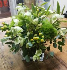 Explore an array of surprise, az vacation rentals, including houses, apartment and condo discover a selection of 1,000 vacation rentals in surprise, az that are perfect for your trip. Go Green In Surprise Az Flowers With Flair