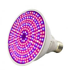 100w led grow lights are one of the cheapest led grow lights in the market. 290 Led Grow Light E27 Bulb Full Spectrum Indoor Plant Growing Lamp Hydroponic System For Seeds