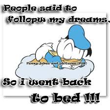 You Go Donald Quack Quack Blague