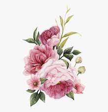 Pink flowers paper pink flowers rose, hand painted floral pink flowers decorative background, pink petaled flowers illustration, watercolor painting, flower pink flowers illustration, watercolour flowers watercolor painting pink flowers, flower, heart, branch, computer wallpaper png. Wedding Flower Png Wedding Flowers Vector Png Transparent Png Kindpng