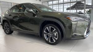 Image result for Nori Green 2023 UX