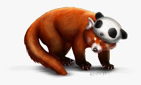 Download Red Panda Png Picture Transparent Cartoon Red Panda Png Download Transparent Png Image Pngitem All png & cliparts images on nicepng are best quality. transparent cartoon red panda png