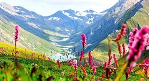 Connect with your best friend where nature connects with divinity. Valley Of Flowers Trek Packages Cost Price And Reviews 2020 21 Bookmountaintours Com