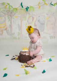 I made the cake as described with the exception of halving the salt since my husband's on a low sodium diet. A Where The Wild Things Are Cake Smash Saratoga Springs Baby Photographer Saratoga Springs Baby Photographer Nicole Starr Photography