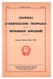 Image result for Ptaeroxylaceae