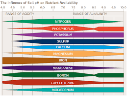 How To Test Your Garden Soils Ph And Fix It For Great Veggies