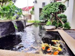 Kolam ikan mini air terjun kecil. Memelihara Koi Di Kolam Kecil Berbagi Itu Indah