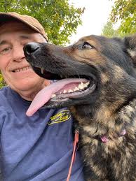 Hiking with German Shepherds in Maine