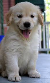 Heidi Stucki (heidi3658)