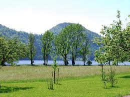 Beim wandern kannst du die landschaft rund um lunz am see wahrscheinlich am besten erleben. Lunz
